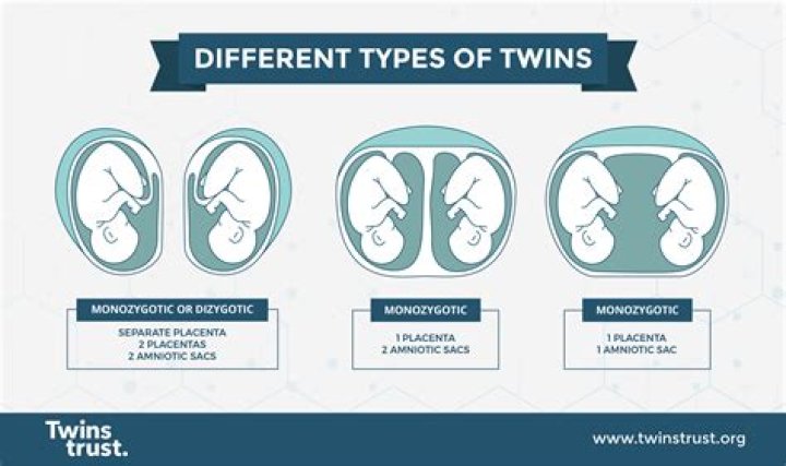 Can identical twins grow to different heights?
