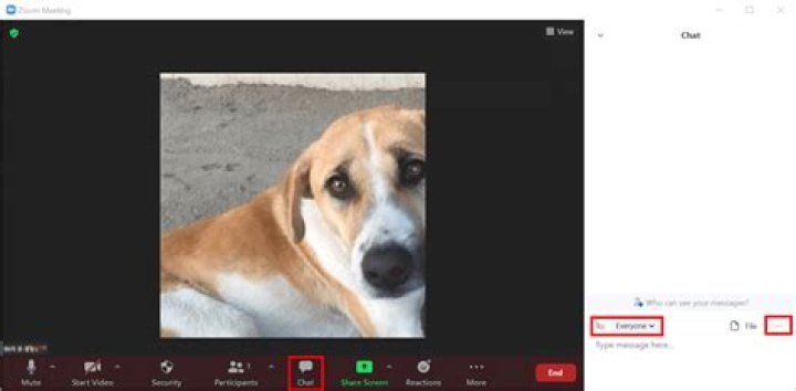 Can moderator see private chat on zoom?