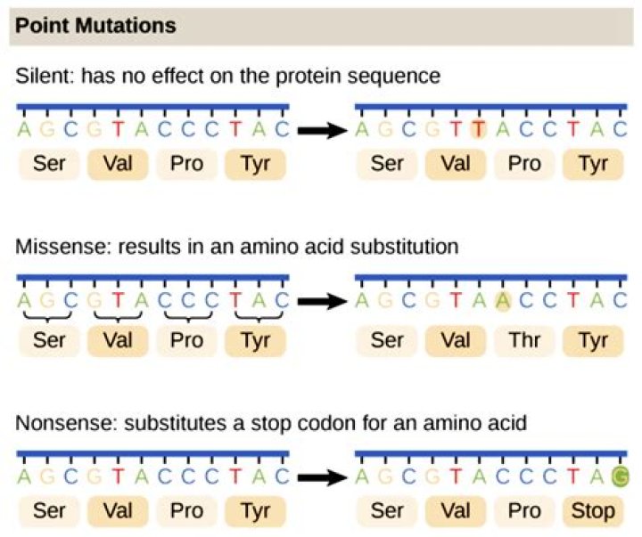 Can mutation be challenged?