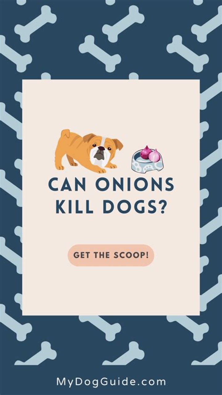 Can onions kill dogs?