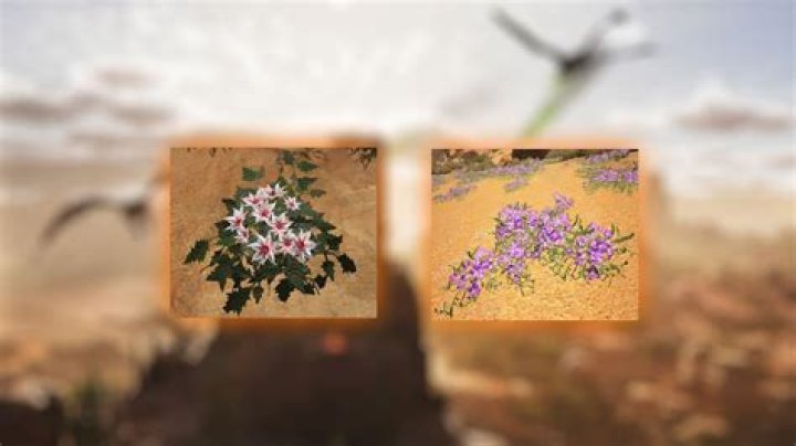 Can silk be worn in summer?