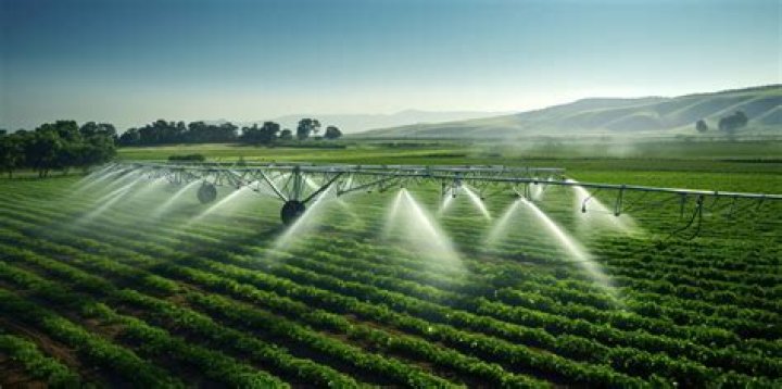 Can sterile water for irrigation be used orally?