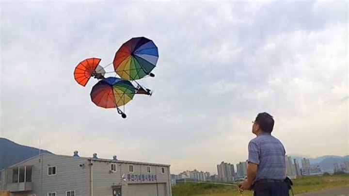 Can umbrellas go on planes?