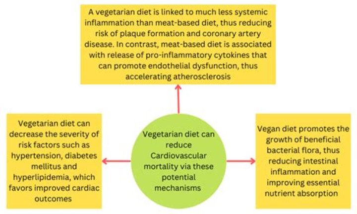 Can vegetarianism cause acne?