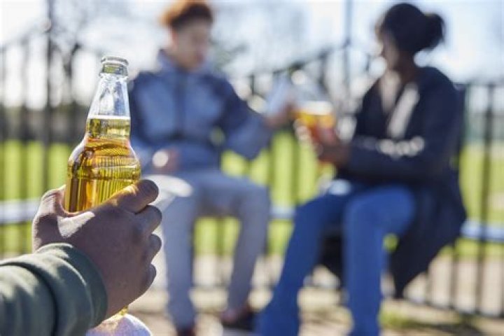 Can you drink alcohol in a park?