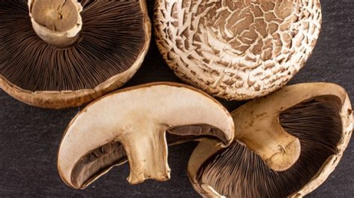 Can you eat agaricus bisporus raw?