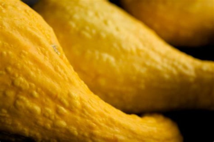 Can you eat crookneck squash?