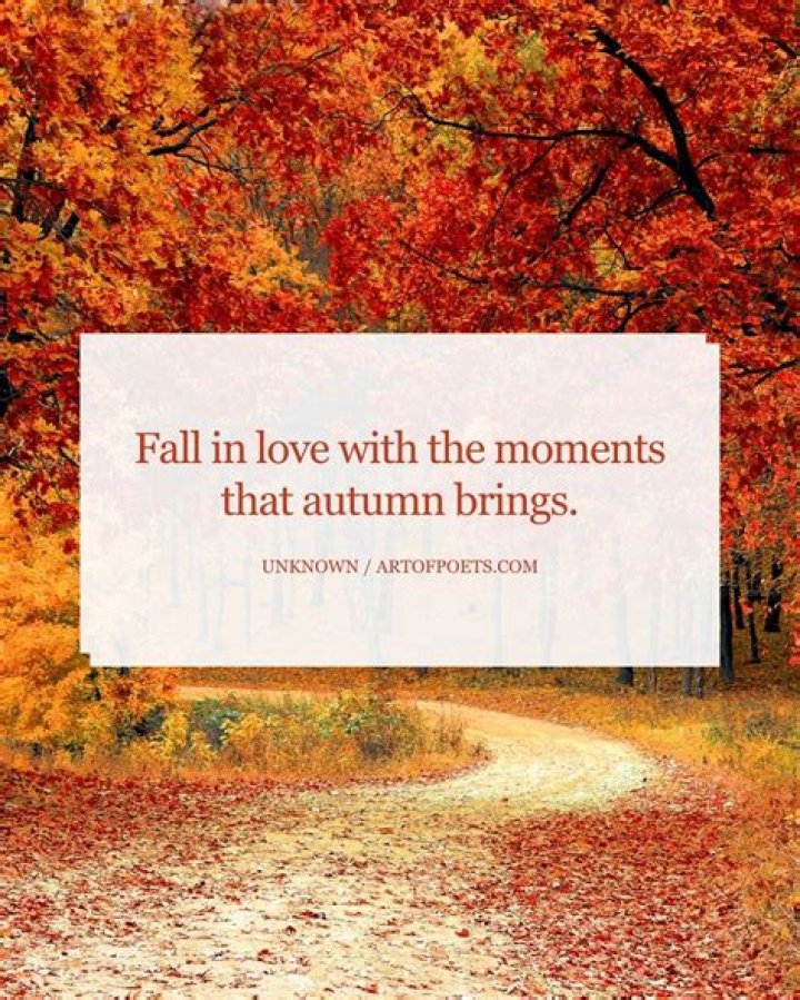 Can you fall in love quickly?