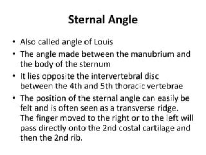 Can you feel your sternal angle?