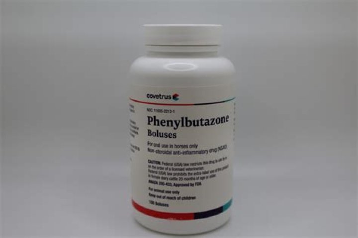 Can you give phenylbutazone to sheep?