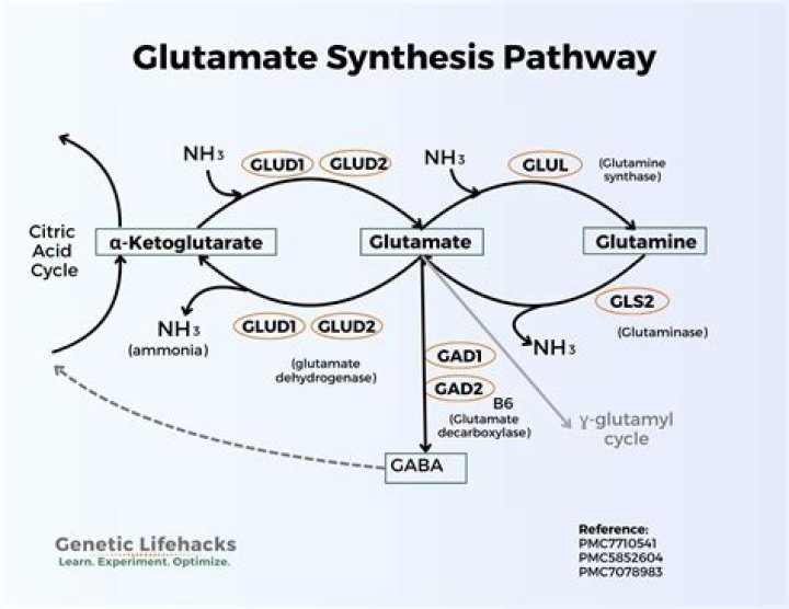 Can you phosphorylate glutamate?