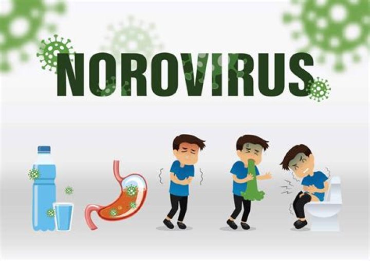 Can you recontaminate yourself with norovirus?