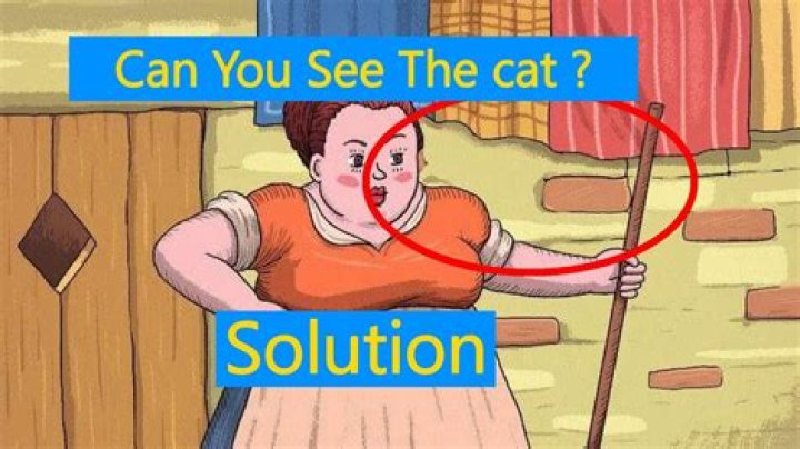 Can you see the cat answer?