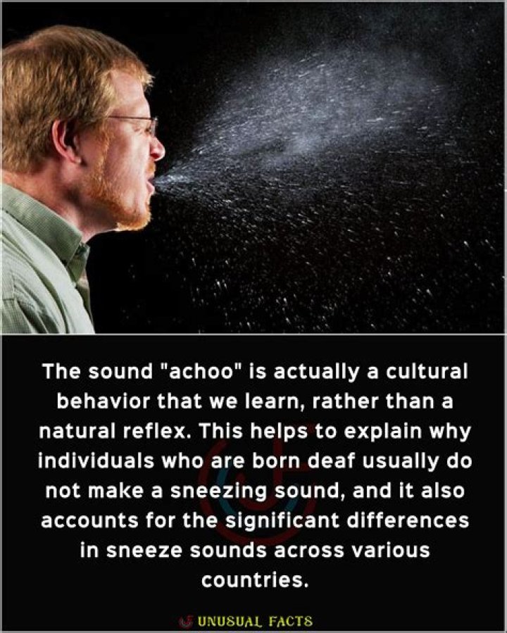 Can you spell achoo?