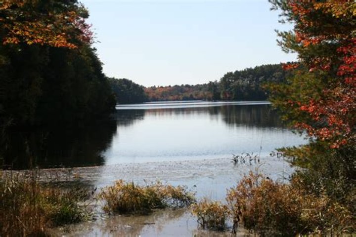 Can you swim at massasoit state park?