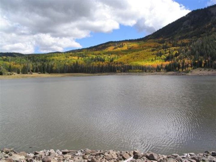 Can you swim in barden lake?