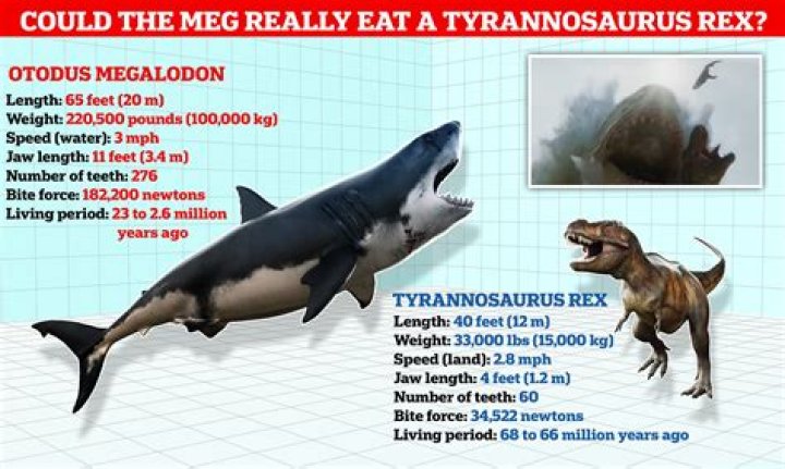 Could a megalodon kill a t rex?