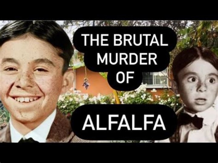 Did alfalfa get murdered?