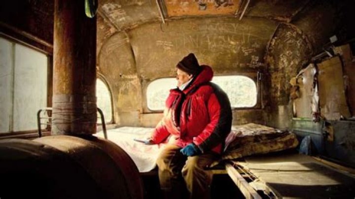 Did chris mccandless kill a moose?