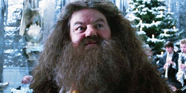 Did hagrid go to hogwarts?