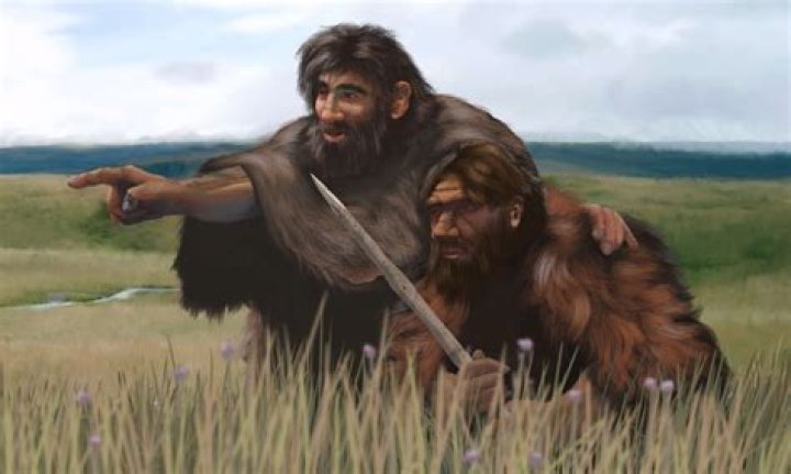 Did homosapien and neanderthal live together?