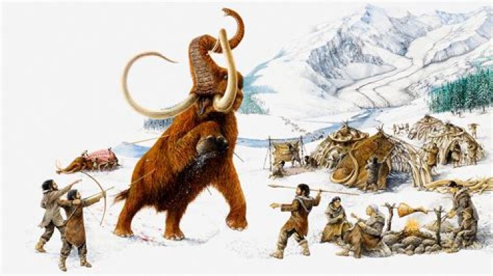 Did humans hunt mammoths?