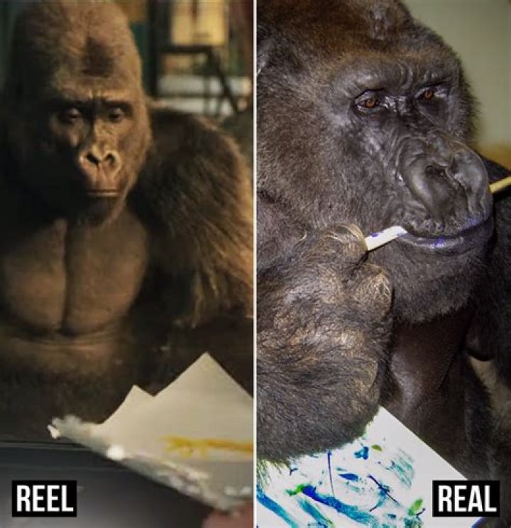 Did ivan the gorilla really paint?