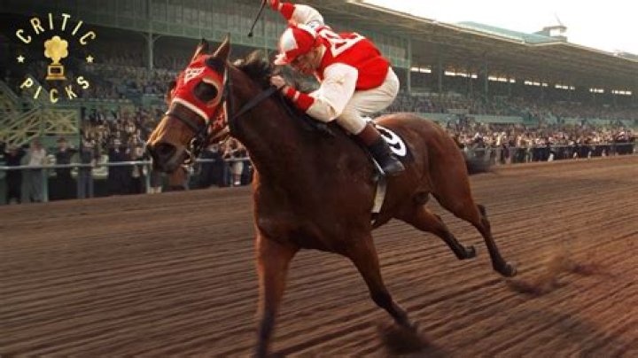 Did seabiscuit win his last race?