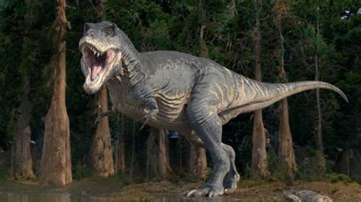 Did t rex have quills?