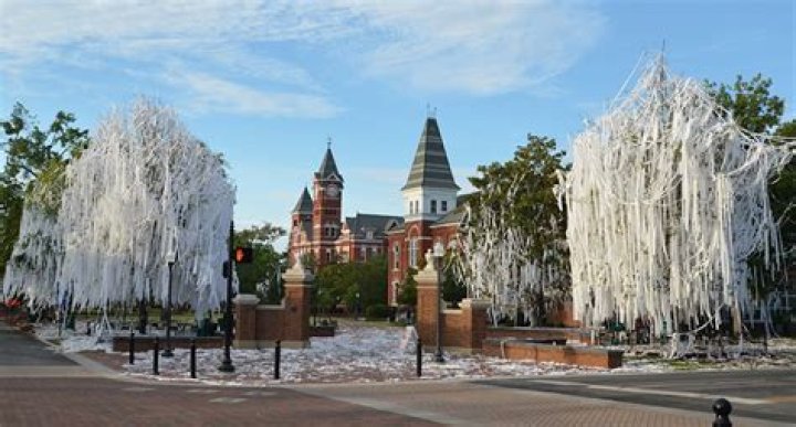 Did the auburn trees die?