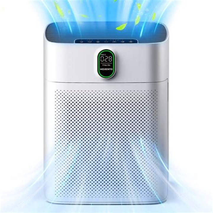 Do air purifier help with covid?