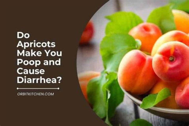 Do apricots make you poop?