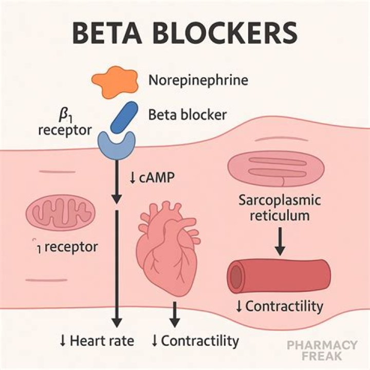 Do beta blockers slow breathing?
