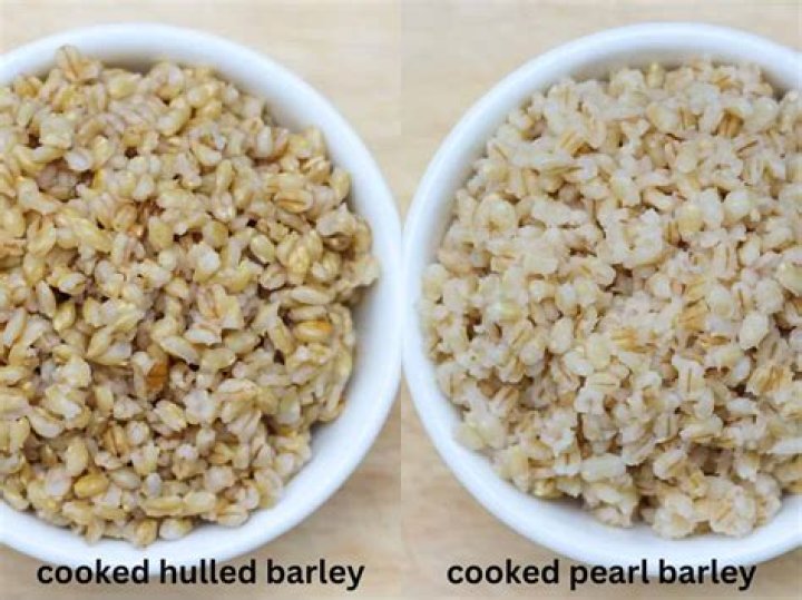 Do carp like pearl barley?