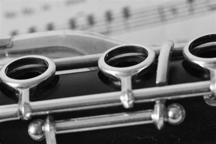 Do clarinets need servicing?