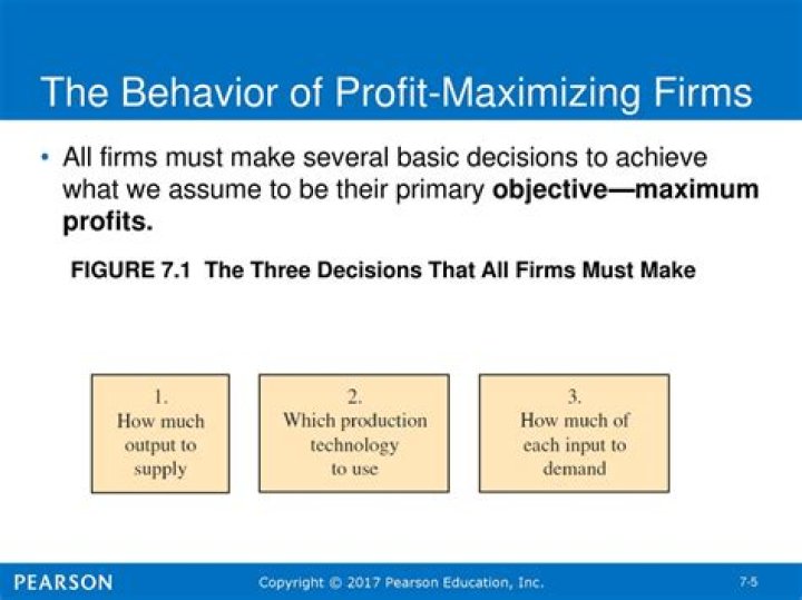 Do firms always want to maximise profits?