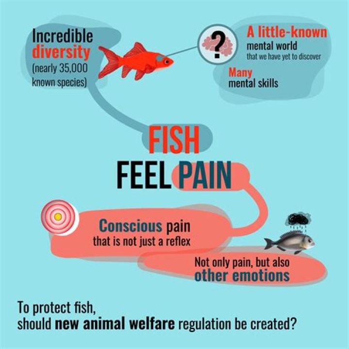Do fish feel loneliness?