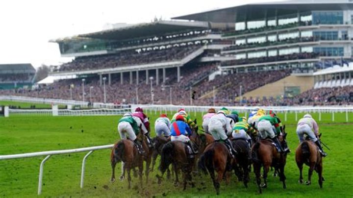 Do horse races get cancelled for rain?