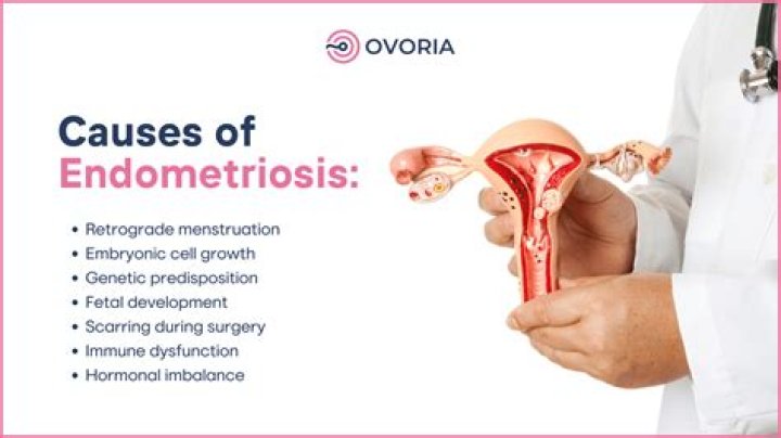 Do i have endometritis?