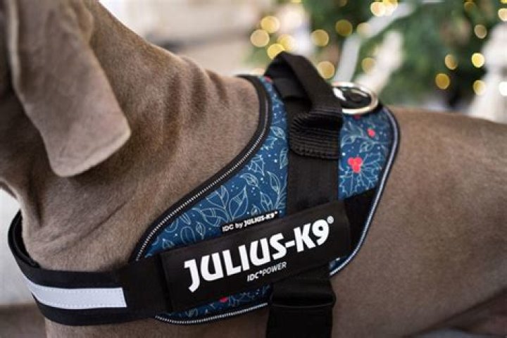 Do julius k9 harnesses stop pulling?