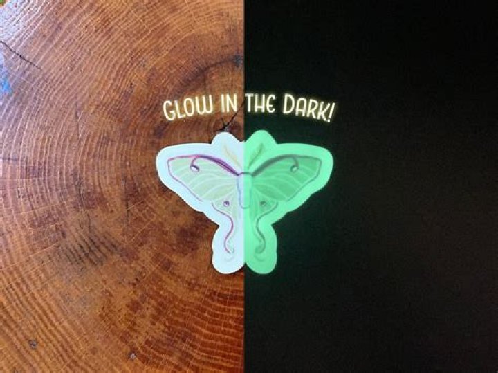 Do luna moths glow in the dark?