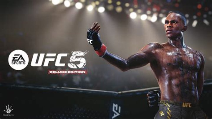 Do submission in ufc 3?
