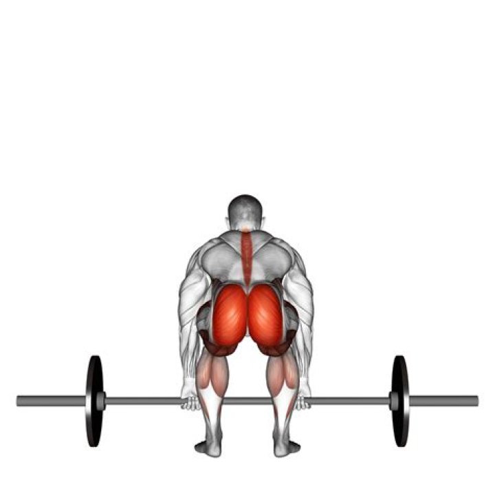 Do sumo deadlifts work back?