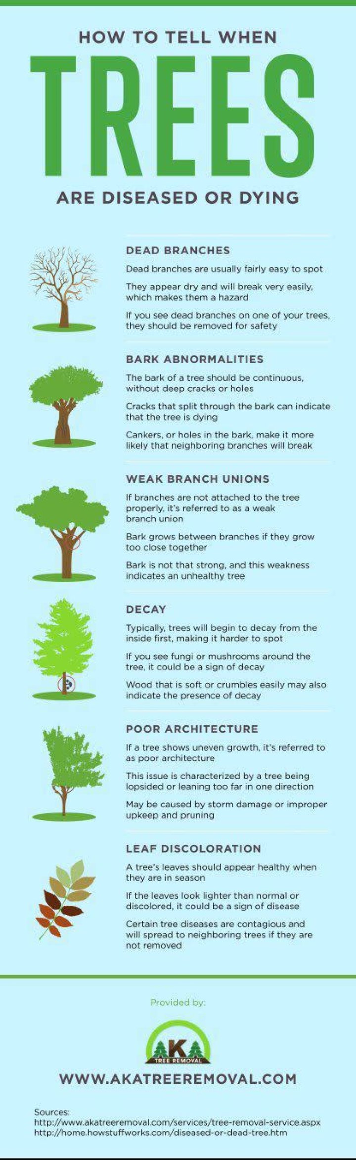 Do trees get diseased?