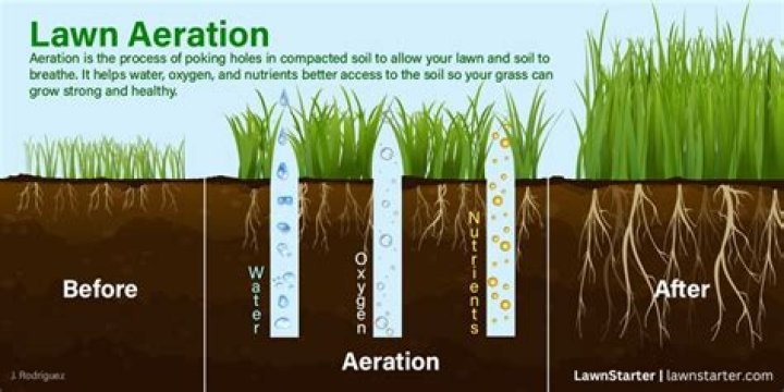 Do you aerate in the spring?