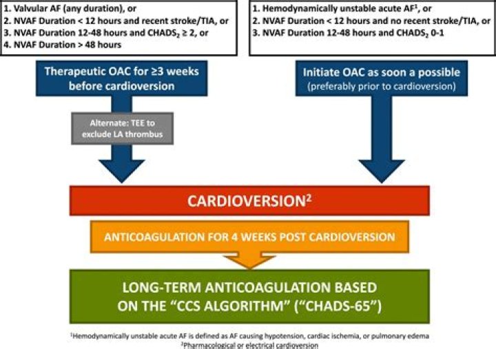 Do you need anticoagulation after tavr?