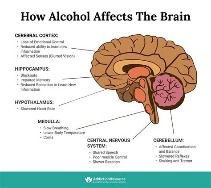 Does alcohol affect the central nervous system?