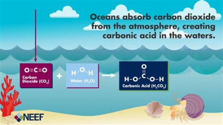 Does carbonic acid form acidic salt?