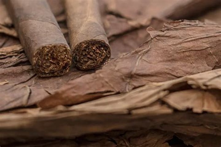 Does cigars have nicotine?