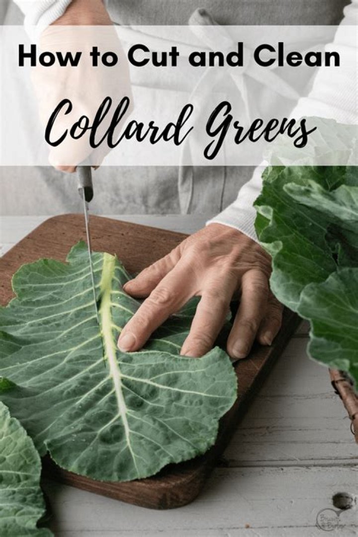Does collard greens have iron?